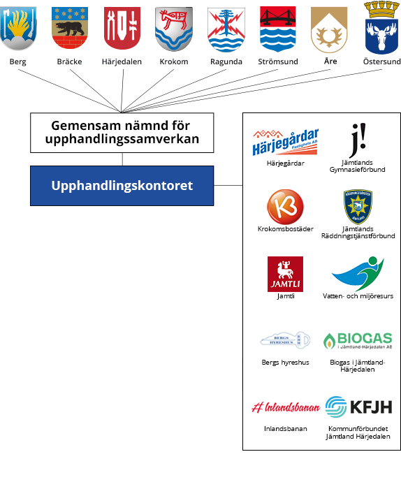 Organisationsskiss