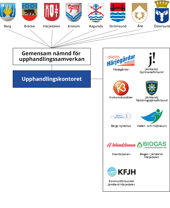 Organisationsskiss